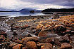 A small creek and some red rocks lend some warmth to a chilly, early spring scene taken from Auke Recreational Area in Juneau, Alaska.