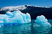 Beautiful blue icebergs float in the waters of Tracy Arm/Fords Terror Wilderness, located South of Juneau, Alaska.