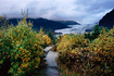 Using the Mendenhall Glacier as a background, a typical cloudy autumn day allows for better photography of the surrounding foliage.