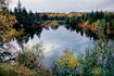 Fall colors show their stuff near Steep Creek, located near the Mendenhall Glacier.