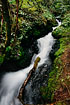 Portrait of a small, unnamed Alaskan stream found while on a summer hike up West Glacier Trail near the Mendenhall Glacier.