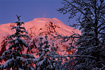 Bullard Mountain, near the Mendenhall Glacier, displays some awesome pink coloring near sunset.  Taken on very windy day, notice the small snow tornado at the top of the mountain.