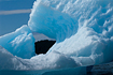 Another intriguing angle of the huge iceberg in the Photo of the Week #1.