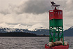 Bald Eagle & Sea Lions sitting on a buoy with Point Retreat Lighthouse and the Chilkat Mountains in the background.  Taken on 5/13/2007.