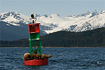 Another more recent version of the 5/13/2007 photo of the week, this one taken on 6/1/2007 and from a different angle, looking east towards the Coast Mountains and Eagle Glacier, which descends from the Juneau Icefield.  I guess the only thing missing from this one is a whale!