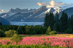 Classic Juneau view of the Mendenhall Glacier with fireweed in the foreground.  It's hard to put a new spin on this scene, as it's been shot from seemingly every angle, but I gave it a shot...