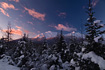 Mt. McGinnis and Mt. Stroller White shine in the pastel colored light of an Alaskan winter.  Taken from the Moraine Ecology Trail, not too far from the Mendenhall Glacier parking area.